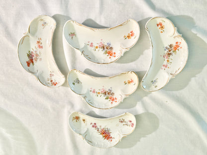 Antique Set of 5 Bone Plates