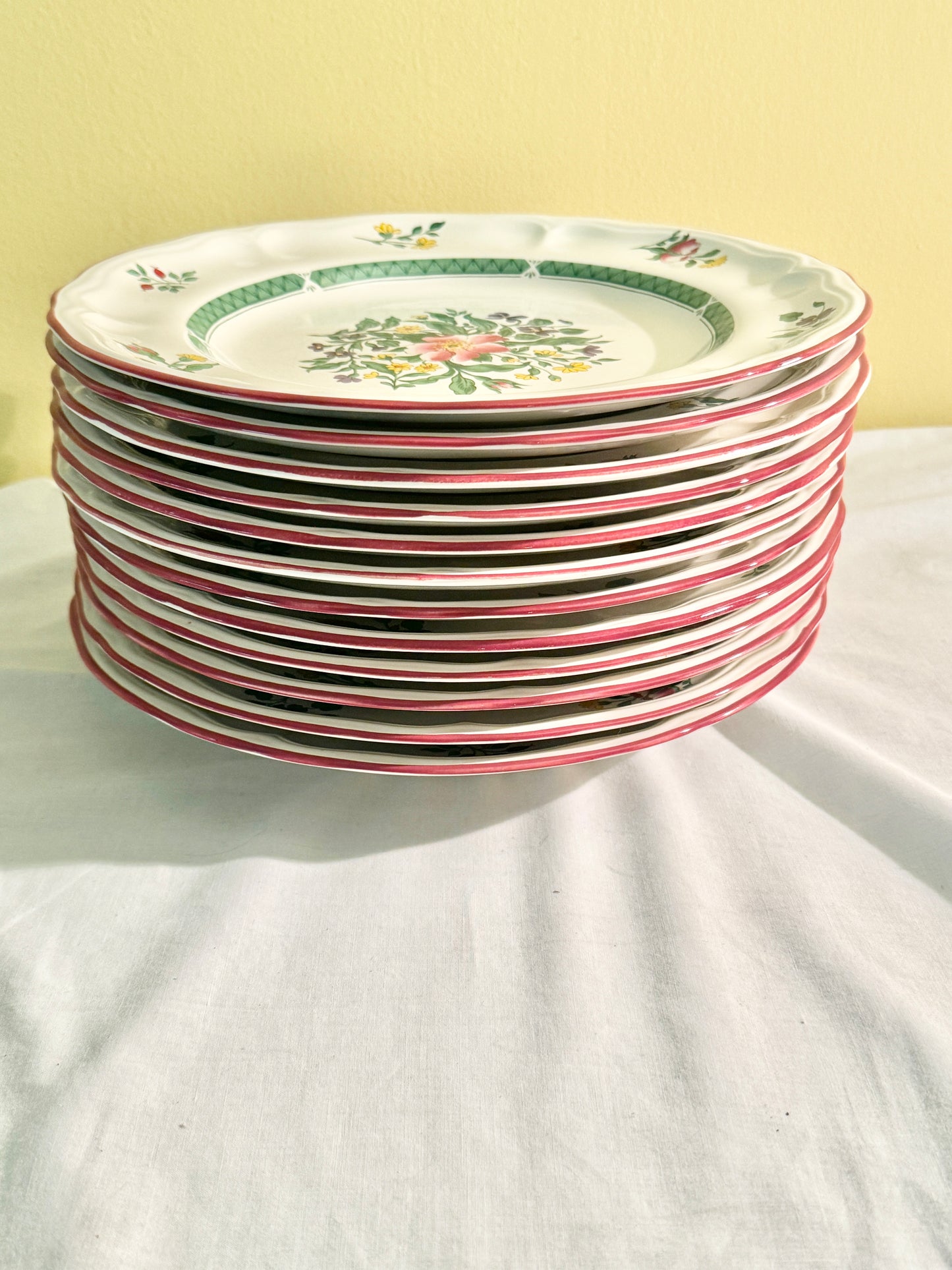 Set of 12 Dinner Plates