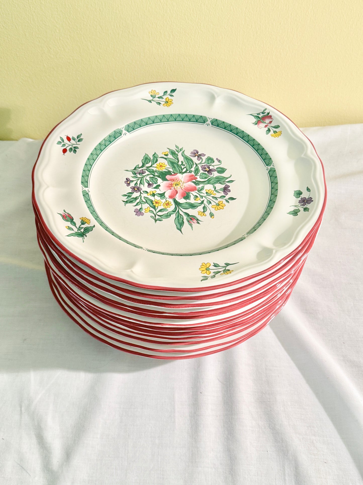 Set of 12 Dinner Plates