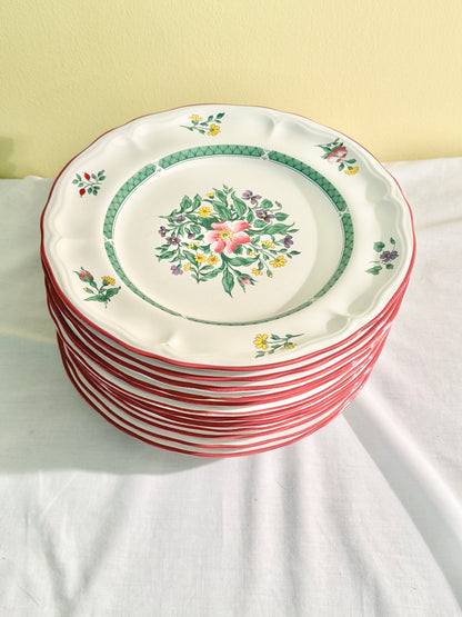 Set of 12 Dinner Plates