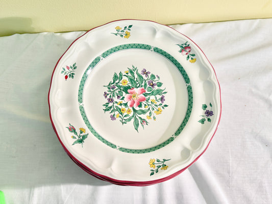 Set of 12 Dinner Plates