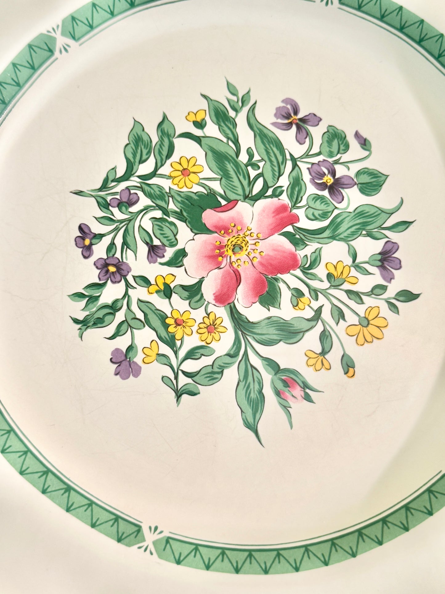 Set of 12 Dinner Plates