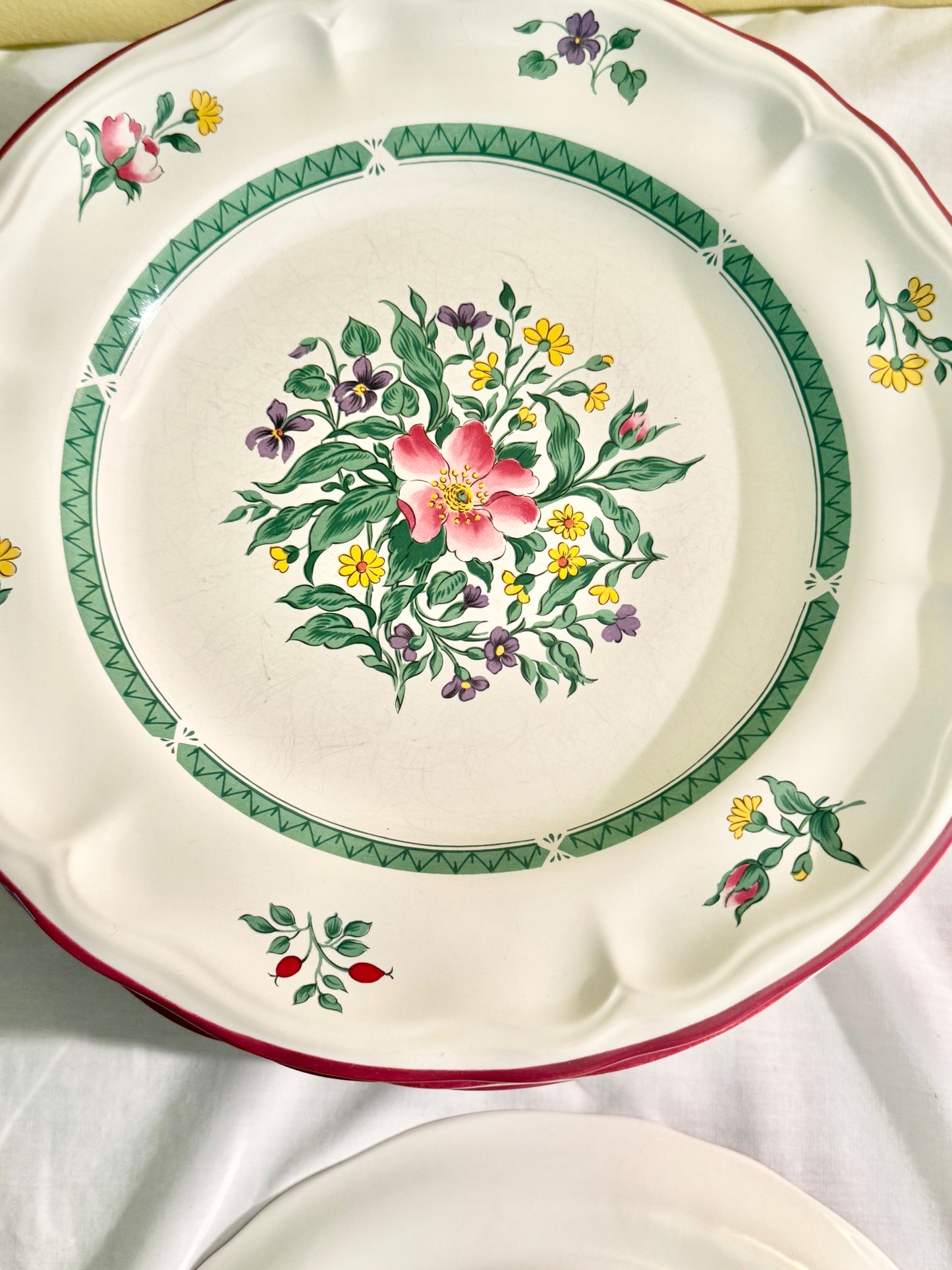 Set of 12 Roslyn Salad Plates