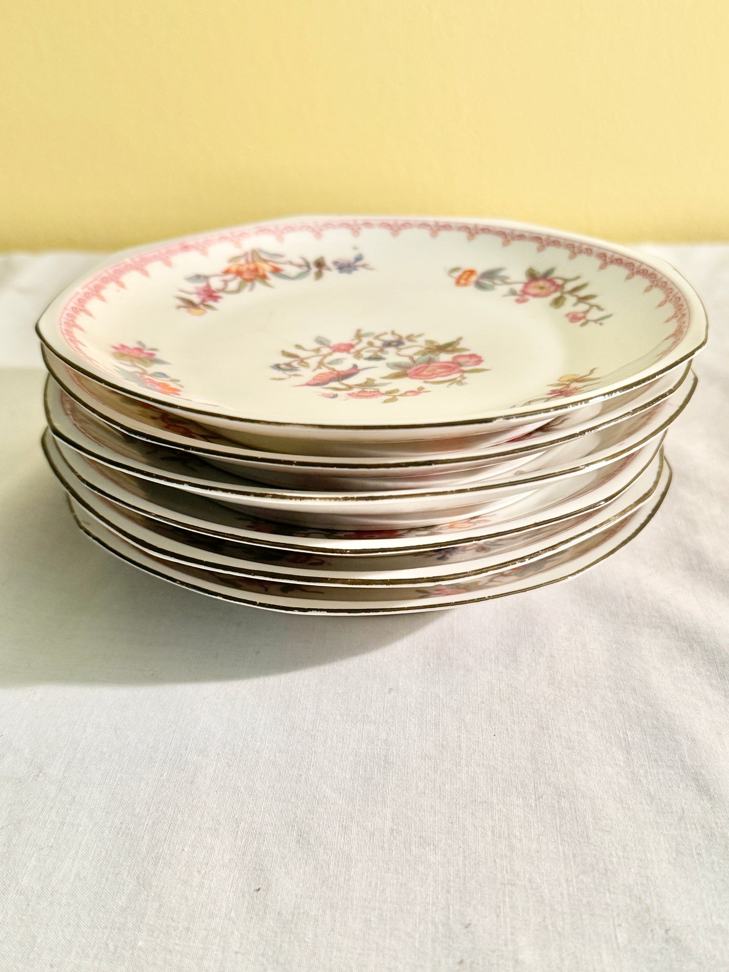 Set of 6 MZ Austria Floral Plates