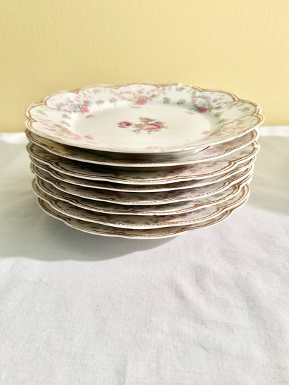 Set of 8 Haviland E Offner Plates