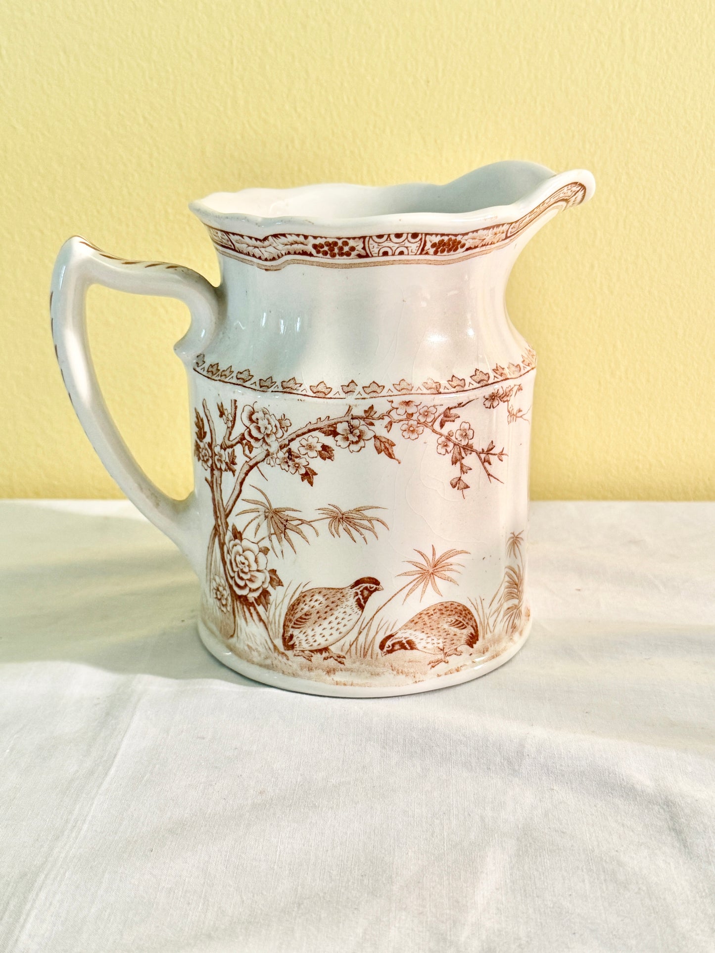 Furnivals Quail Pitcher