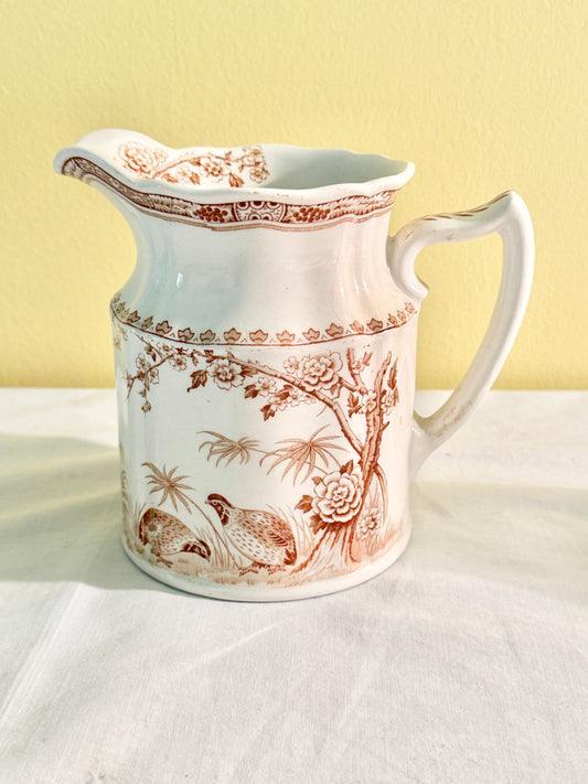 Furnivals Quail Pitcher