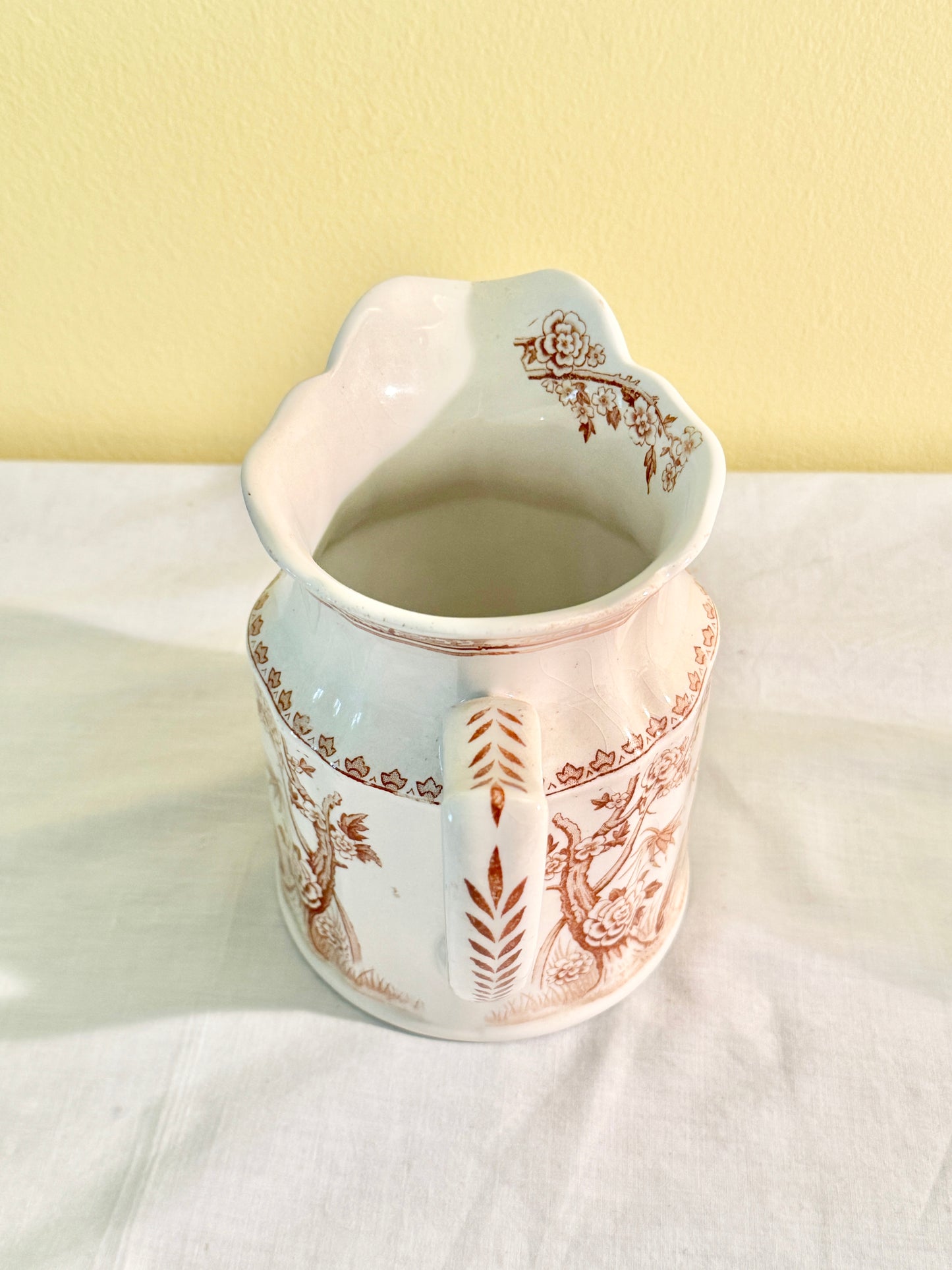 Furnivals Quail Pitcher